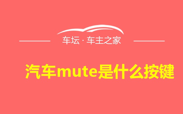 汽车mute是什么按键