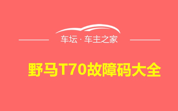 野马T70故障码大全