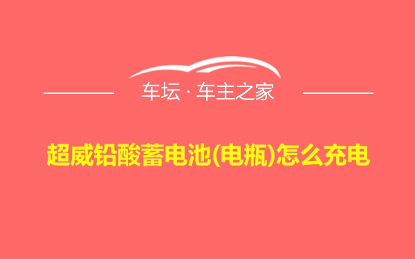 超威铅酸蓄电池(电瓶)怎么充电