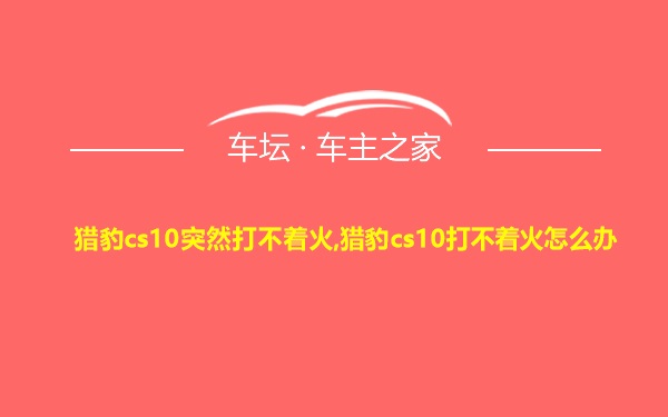 猎豹cs10突然打不着火,猎豹cs10打不着火怎么办