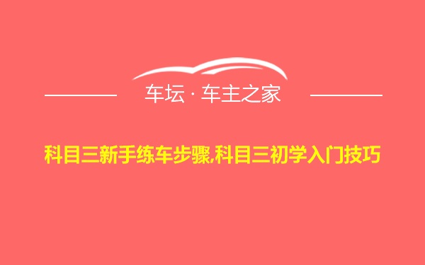 科目三新手练车步骤,科目三初学入门技巧