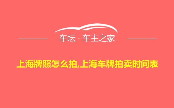 上海牌照怎么拍,上海车牌拍卖时间表