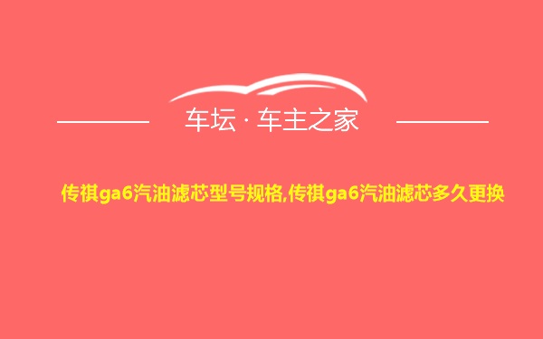 传祺ga6汽油滤芯型号规格,传祺ga6汽油滤芯多久更换