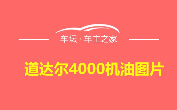 道达尔4000机油图片