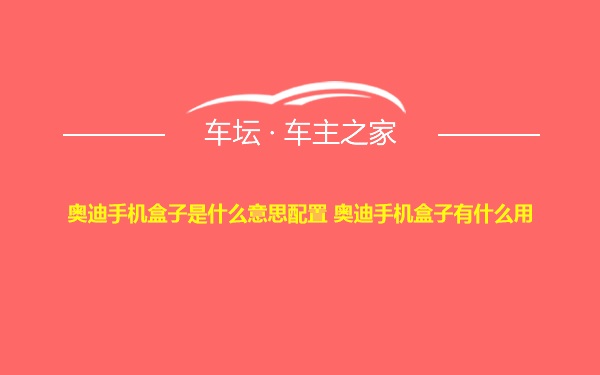 奥迪手机盒子是什么意思配置 奥迪手机盒子有什么用