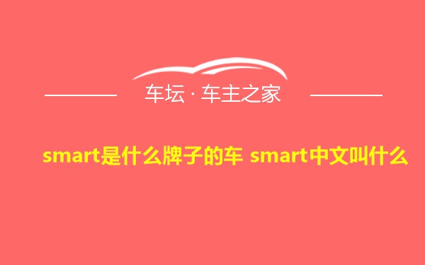 smart是什么牌子的车 smart中文叫什么