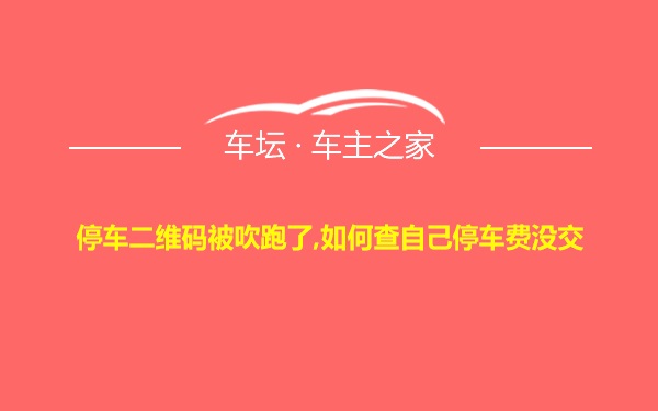 停车二维码被吹跑了,如何查自己停车费没交