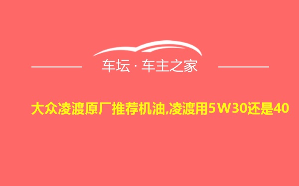 大众凌渡原厂推荐机油,凌渡用5W30还是40