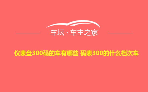 仪表盘300码的车有哪些 码表300的什么档次车