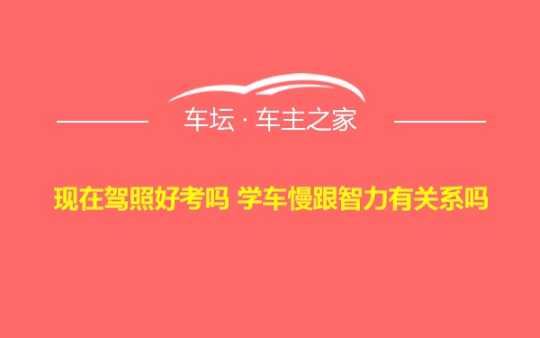 现在驾照好考吗 学车慢跟智力有关系吗