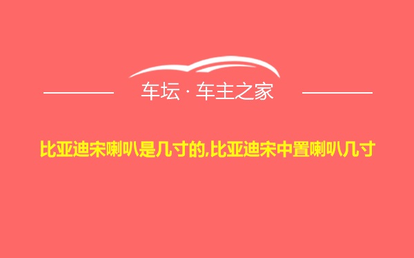 比亚迪宋喇叭是几寸的,比亚迪宋中置喇叭几寸