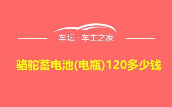 骆驼蓄电池(电瓶)120多少钱