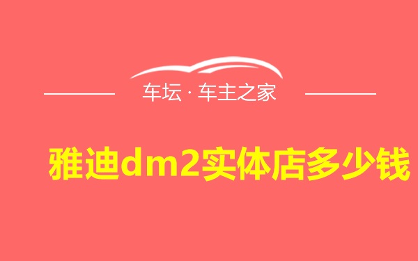 雅迪dm2实体店多少钱