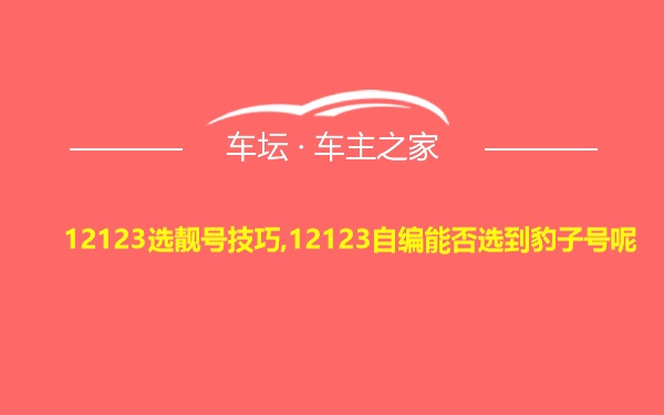 12123选靓号技巧,12123自编能否选到豹子号呢