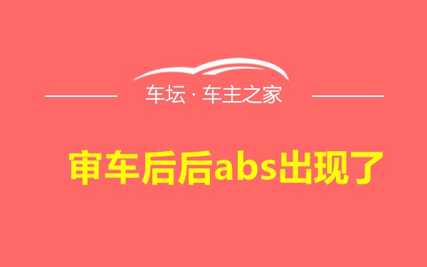 审车后后abs出现了