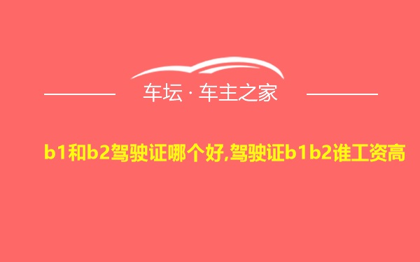 b1和b2驾驶证哪个好,驾驶证b1b2谁工资高