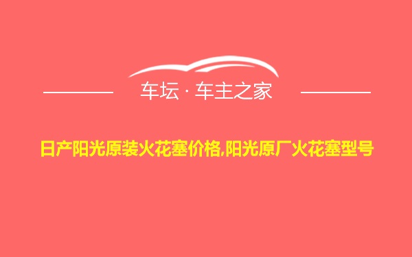 日产阳光原装火花塞价格,阳光原厂火花塞型号