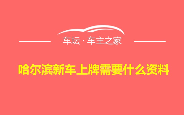 哈尔滨新车上牌需要什么资料