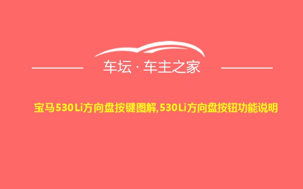 宝马530Li方向盘按键图解,530Li方向盘按钮功能说明