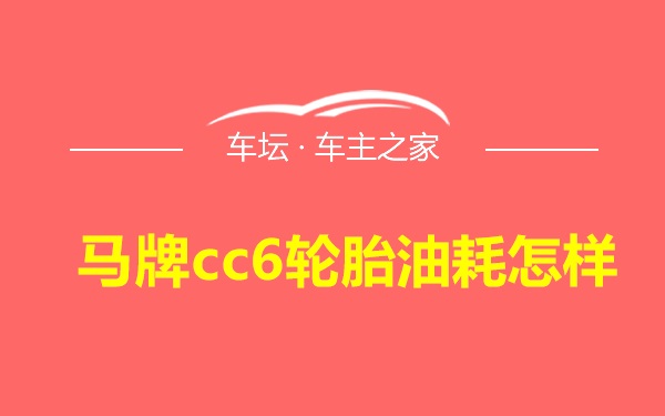 马牌cc6轮胎油耗怎样