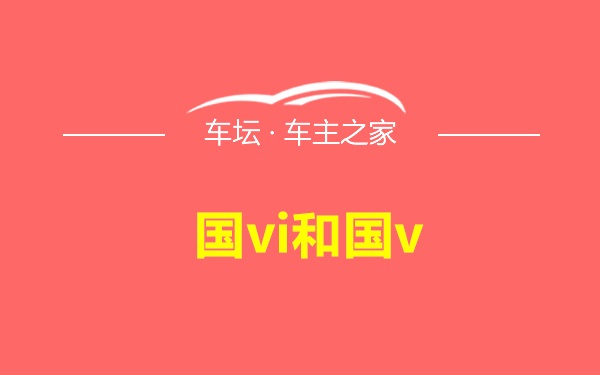 国vi和国v