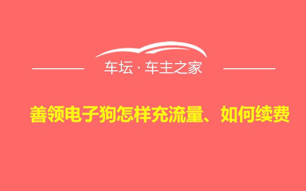 善领电子狗怎样充流量、如何续费