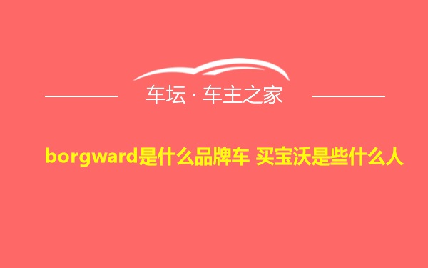 borgward是什么品牌车 买宝沃是些什么人