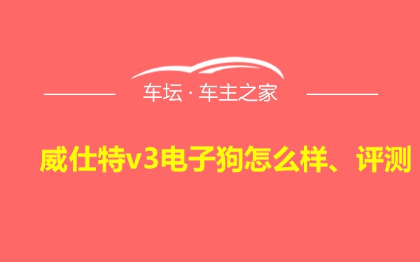 威仕特v3电子狗怎么样、评测