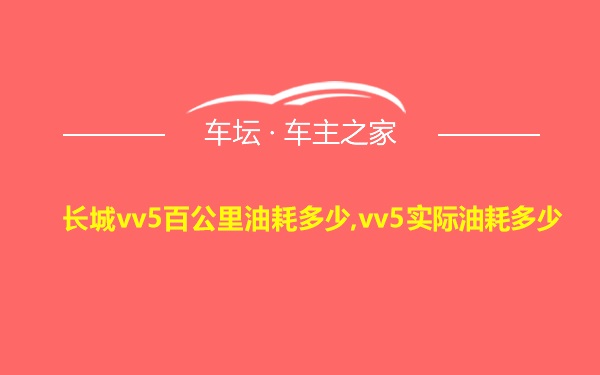 长城vv5百公里油耗多少,vv5实际油耗多少