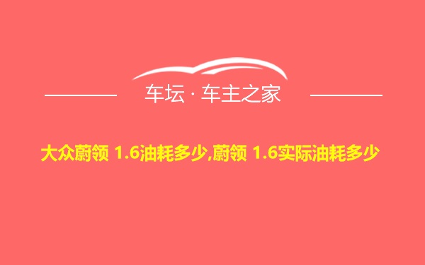 大众蔚领 1.6油耗多少,蔚领 1.6实际油耗多少