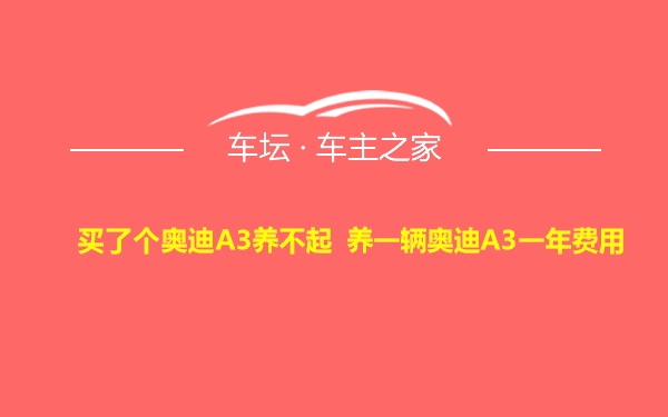 买了个奥迪A3养不起 养一辆奥迪A3一年费用