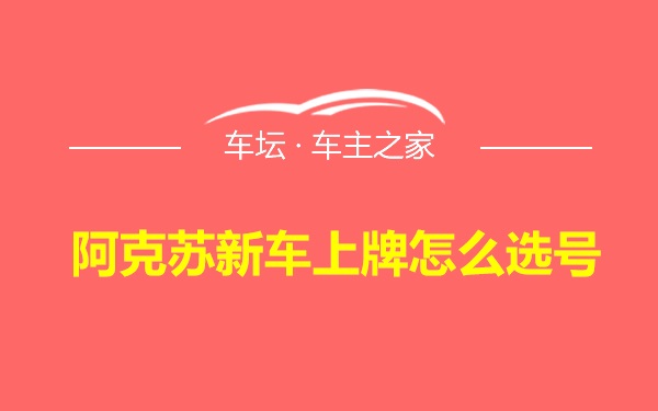 阿克苏新车上牌怎么选号