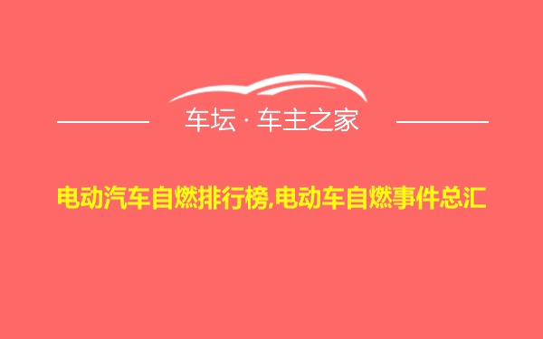 电动汽车自燃排行榜,电动车自燃事件总汇