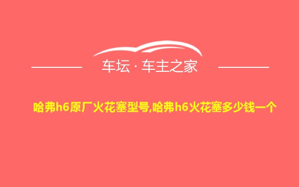 哈弗h6原厂火花塞型号,哈弗h6火花塞多少钱一个