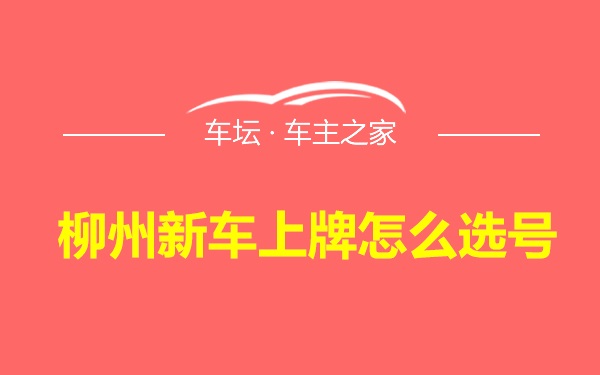 柳州新车上牌怎么选号