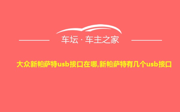 大众新帕萨特usb接口在哪,新帕萨特有几个usb接口