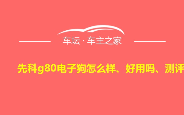 先科g80电子狗怎么样、好用吗、测评