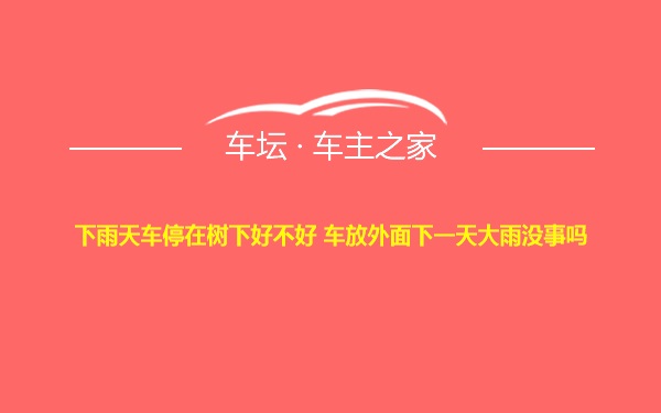 下雨天车停在树下好不好 车放外面下一天大雨没事吗