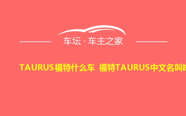 TAURUS福特什么车 福特TAURUS中文名叫啥