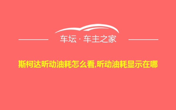 斯柯达昕动油耗怎么看,昕动油耗显示在哪