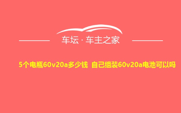 5个电瓶60v20a多少钱 自己组装60v20a电池可以吗