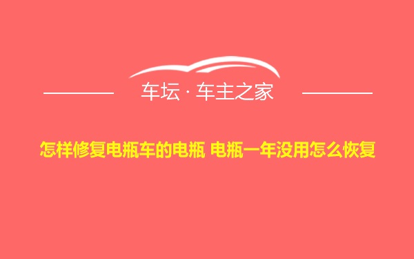 怎样修复电瓶车的电瓶 电瓶一年没用怎么恢复