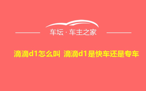 滴滴d1怎么叫 滴滴d1是快车还是专车