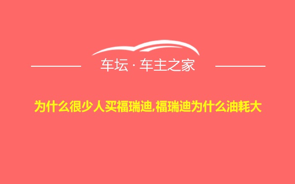 为什么很少人买福瑞迪,福瑞迪为什么油耗大