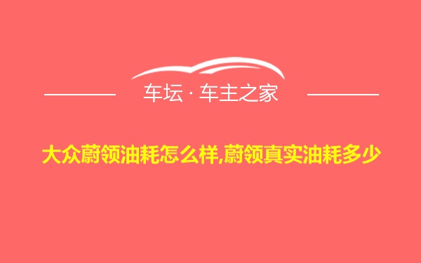 大众蔚领油耗怎么样,蔚领真实油耗多少