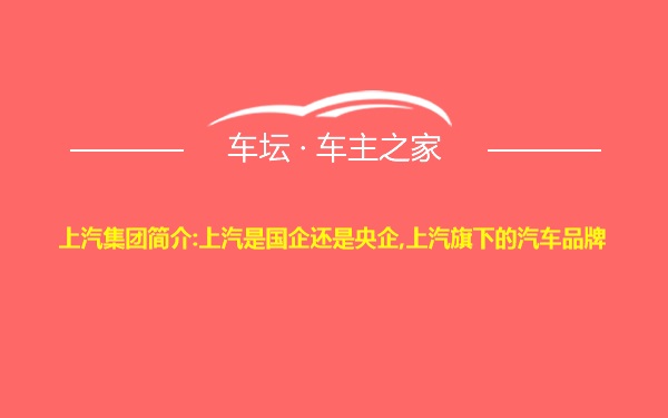 上汽集团简介:上汽是国企还是央企,上汽旗下的汽车品牌