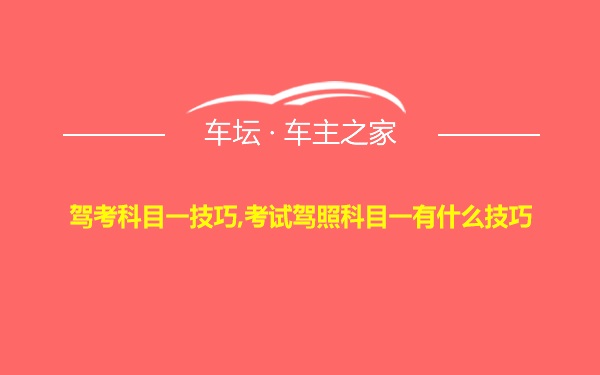 驾考科目一技巧,考试驾照科目一有什么技巧