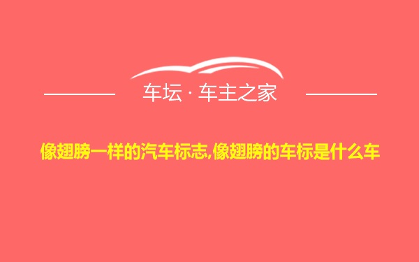 像翅膀一样的汽车标志,像翅膀的车标是什么车