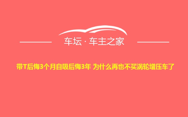 带T后悔3个月自吸后悔3年 为什么再也不买涡轮增压车了