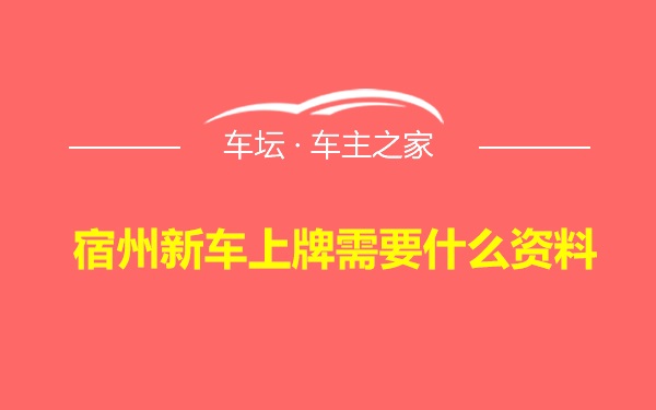 宿州新车上牌需要什么资料